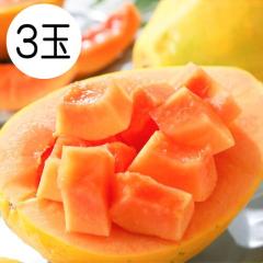 �p�p�C�� �t���[�c ���b�h�p�p�C�� 3�� 1�ʖ�550g �t�B���s���Y �������� �썑 �ʕ� ���Y �M�t�g �ʕ�