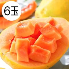 �p�p�C�� �t���[�c ���b�h�p�p�C�� 6�� 1�ʖ�550g �t�B���s���Y �������� �썑 �ʕ� ���Y �M�t�g �ʕ�