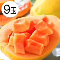 �p�p�C�� �t���[�c ���b�h�p�p�C�� 9�� 1�ʖ�550g �t�B���s���Y �������� �썑 �ʕ� ���Y �M�t�g �ʕ�