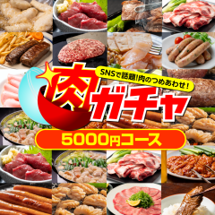 �y5000�~�R�[�X�z���� ���K�`�� ������ �H�i �Ⓚ �� ���� ���H�i ���� �l�ߍ��킹
