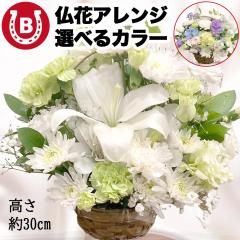 �I�ׂ�J���[ �������t�����[ �A�����W�����g ���� L�T�C�Y ���C�� ���� ������� ���d ���~ ���ފ� ���� ���� ���� �l�\��� ����