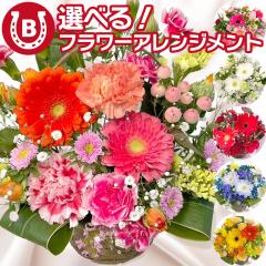 �� �I�ׂ�J���[ ��̓��M�t�g ���� �t�����[�A�����W�����g ��̓� ���܂��� �A�����W �v���[���g �ԃM�t�g L�T�C�Y