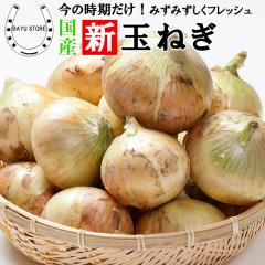 �ʂ˂� ���Y 10kg S-M�T�C�Y �Â��Ĕ������� ���Y �ʔK �ʃl�M ���܂˂� �ʂ˂� �^�}�l�M  �J���[��ϕ��� �V�N��� �I�j�I��