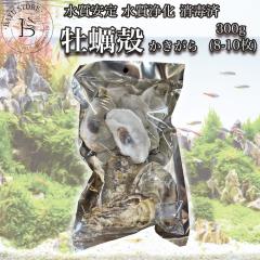 yk Y VR100 300g (8`10) _Jth ۍ _J  Mы h   ph B 엿 ANA