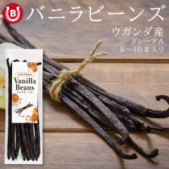 �o�j���r�[���Y 40g ��8�`10�{ �E�K���_�Y �u���{���� �O�����O���[�hA 16�`20cm ���� �����Ƃ� ���Y�� ���ٗp ���p���p