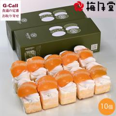 フレック】 ショコラズコット(ベルギー産チョコレート使用) 約65G 6食