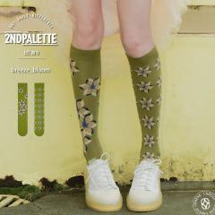 �y���E��Ώ̃f�U�C���\�b�N�X�z 2nd PALETTE �Z�J���h�p���b�g �u���[�Y �u���[�� ���J�̉ԁX �n�C�\�b�N�X �A�V�����g���[ �C�� ���f�B