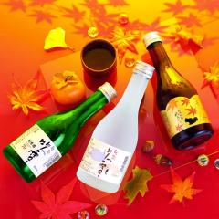 �H�G���� ���{�� �H������ ���� ���ݔ�� 300ml 3�{ �Z�b�g �V�� ����� �������� �h�V�̓� ���Ε� ��Ε� �M�t�g �v���[���g ���{���Z