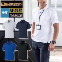 R[RX ƕ t AE-1727 |Vc SS-LL ƒ CO-COS