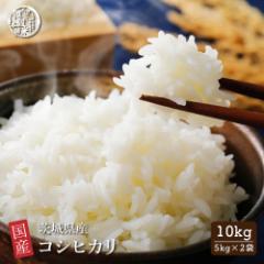 \ セール / 【白米】 茨城県産 コシヒカリ 10kg(5kg×2袋) 国産 こしひかり 令和6年産 単一原料米 白米 精米 精白米 送料無料 精米工場