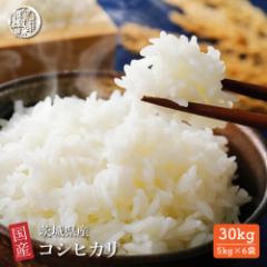 \ セール / 【白米】 茨城県産 コシヒカリ 30kg(5kg×6袋) 国産 こしひかり 令和6年産 単一原料米 白米 精米 精白米 送料無料 精米工場