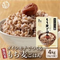 �_ �Z�[�� �^ �y�����ē���G���z �G�� �G���� ���Y �_�C�V���` ���������͂� 4kg(2kg�~2��) �������� au PAY �|�C���g�Ώ� ������ԂȂ�