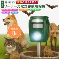 �t�@�~�� �\�[���[�[�d���Q�b�쏜�@ 1�� �����g �Z���T�[���� �h���d�l �L�悯 ���悯 �������ފ� �A���[�� �� ���Ō��� �� �� ���ԏ� �h