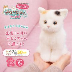 ���킢���Ȃ����� ���܂���ڂ� �q�˂������ mini �~�P�l�R �L �ʂ������ ���A�� ����ׂ�ʂ������ �b�� �ʂ������ �L �������� �d