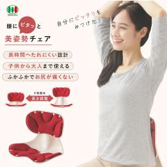 ���Ƀs�^�b�Ɣ��p���`�F�A �p������ �֎q 6�i�K�������� ���ՃT�|�[�g ���K���ɂ��Ȃ� �p���T�|�[�g �T�|�[�g�`�F�A ����� �q�� �f�X�N