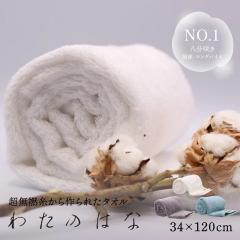 �킽�̂͂� No1 �����O�p�C�� �ɍ׎� ���̖� ���� �z���^�I�� �o�X�^�I�� �t�F�C�X�^�I��  ���� �M�t�g �ӂ�ӂ� �����Q�� ��100��  ���