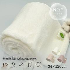 �킽�̂͂� No7 �~�h���p�C�� ���� ���̖� ���� �z���^�I�� �o�X�^�I�� �t�F�C�X�^�I��  �M�t�g �ӂ�ӂ� �����Q�� ��100�� 34�~120cm ��