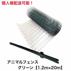 �A�j�}���t�F���X�@�O���[���@1.2���~20���@�x������1.65���@�x��11�{�Z�b�g�@����p��@�������N���h�~��@�@�l�l���������@�l�l�z��