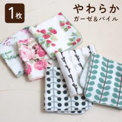 nJ` 1 K[[ pC k o ԕ A n[u [Y fB[X v[g { 100%  ̓   