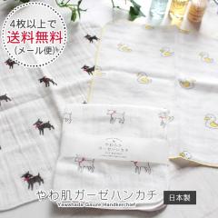 nJ` K[[nJ` K[[^I fB[X xr[ q _uK[[ 100% { 픧K[[nJ` |Cg