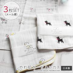 nJ` 3Zbg € Aq M K[[nJ` K[[^I Mtg Ԃ { xr[ 픧K[[nJ` |Cg