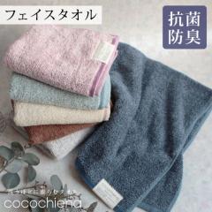 RR`Gi2 tFCX^I 34~80cm ӂӂ RR`Gi cocochiena 킢  Mtg R hL oYj j j 