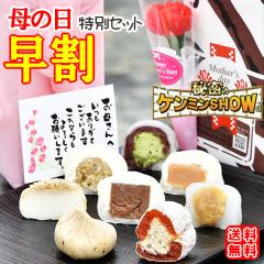 ���� ��̓� �v���[���g �M�t�g �a�َq ���َq �X�C�[�c �I����Ƃ� �X�C�[�c �e2�� 4��啟�e1�� ���v12�� 2026 �Ԃ��J�[�l�[�V���� 