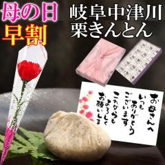 ��̓� ���� ���َq �_350�~OFF�N�[�|���^ ��̓� �M�t�g �v���[���g �a�َq �X�C�[�c �J�[�l�[�V���� �ԂƃZ�b�g �� �ԃM�t�g �������� 