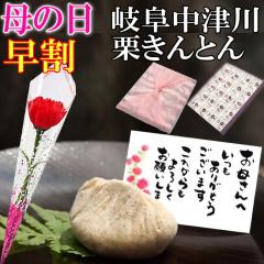 ��̓� ���� ���َq �_350�~OFF�N�[�|���^ ��̓� �M�t�g �v���[���g �a�َq �X�C�[�c �J�[�l�[�V���� �ԂƃZ�b�g �� �ԃM�t�g �������� 