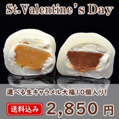 �o�����^�C�� �`���R �`���R���[�g �΂�܂� �v�` �M�t�g �`���R�������L���������啟10�� ���َq �X�C�[�c � ������ �{�� �`�� 