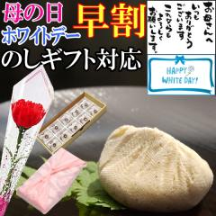 �_���� 400�~�N�[�|���^ �z���C�g�f�[ ���Ԃ� �M�t�g ���َq �X�C�[�c �l�C �a�َq �v���[���g � �`���R �ȊO �`���R�ȊO �`���Ԃ� 