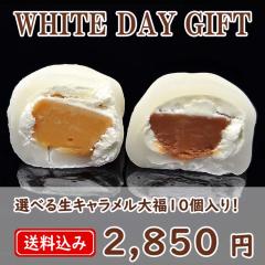 �_250�~�N�[�|���^ �z���C�g�f�[ ���Ԃ� �`���R ���َq �`���R���[�g �X�C�[�c �a�َq �v���[���g � ���� �`���R�E���L���������啟