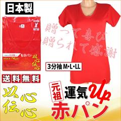 ���� 3�����C���i�[ (LL�T�C�Y) �ԃC���i�[ T�V���c ���{�� ��100% ���� ���� ���� �җ�j�� �M�t�g �v���[���g