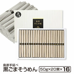  Mtg 2025 ߂  艄׍܂߂i20~16j ϔ f  Hi ~ Ԃ 