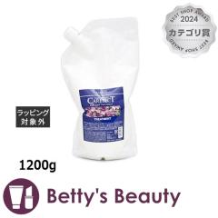 iv PAeNg XLvg[gg  1200gRfBVi[ naplayNX}XzΉz