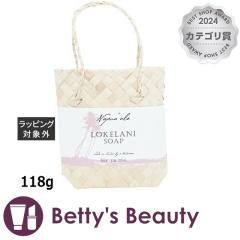 ivAA {fB\[v Pj 118g{fB\[v NapuaalayNX}XzΉz