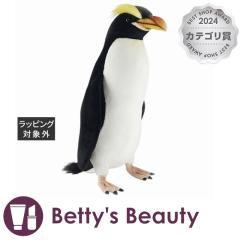 nT V[^[yM W19~H56~D4~T5cm  HANSAyNX}XzΉz