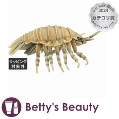 nT _CIEO\NV W24~H13~D37cm  HANSAyNX}XzΉz