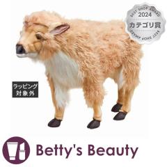 nT AJoC\iRj W25~H66~D80~T12cm  HANSAyNX}XzΉz