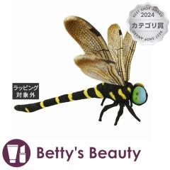 nT Ij} W46~H15~D41cm  HANSAyNX}XzΉz