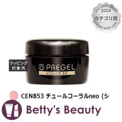 vWF vWF J[EX CEN853 `[R[neo (VA[) lCpi PREGEL