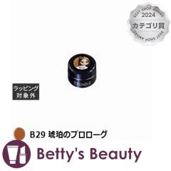 vWF vh[ B29 ߂̃v[O 3glCpi PREGELyNX}XzΉz