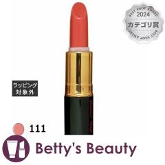 W| JNe[W 111 g JUPONyNX}XzΉz