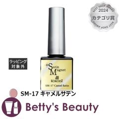 RRCXg Te}Olbg SM-17 LTe 10glCpi KOKOISTyNX}XzΉz