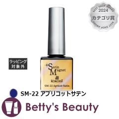 RRCXg Te}Olbg SM-22 AvRbgTe 10glCpi KOKOISTyNX}XzΉz