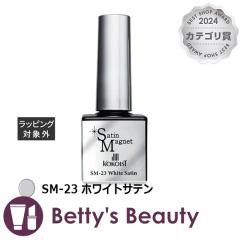 RRCXg Te}Olbg SM-23 zCgTe 10glCpi KOKOISTyNX}XzΉz