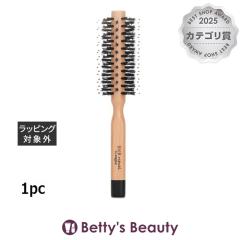 �V�X���[ �w�A ���`���A�� �U �u���[ �h���C �u���V #1  1pc�w�A�u���V sisley�yS�z