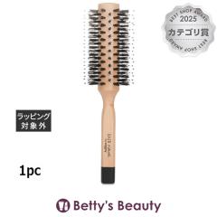 �V�X���[ �w�A ���`���A�� �U �u���[ �h���C �u���V #2  1pc�w�A�u���V sisley�yS�z