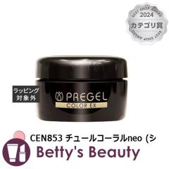 �v���W�F�� �v���W�F�� �J���[EX CEN853 �`���[���R�[����neo (�V�A�[) �l�C���p�i PREGEL