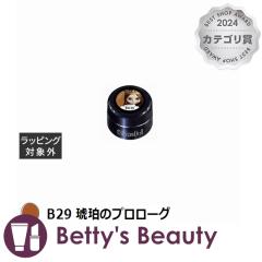 �v���W�F�� �v�����h�[�� B29 ���߂̃v�����[�O 3g�l�C���p�i PREGEL